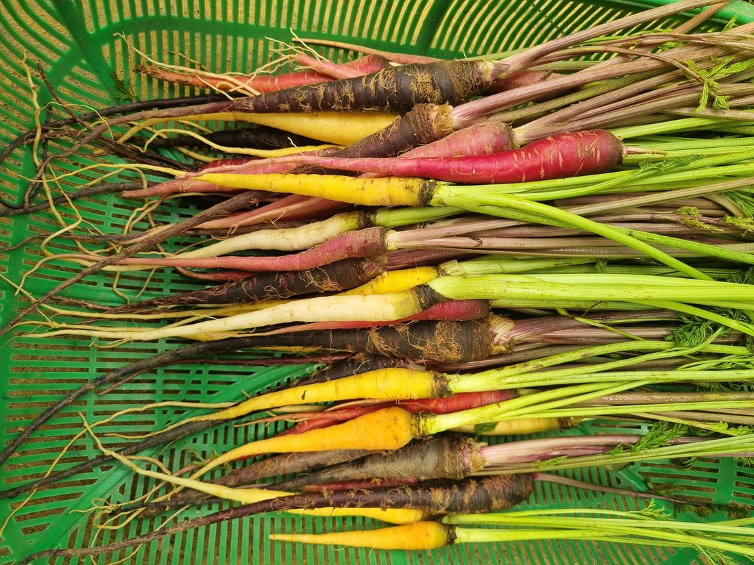 Specialty vegetables